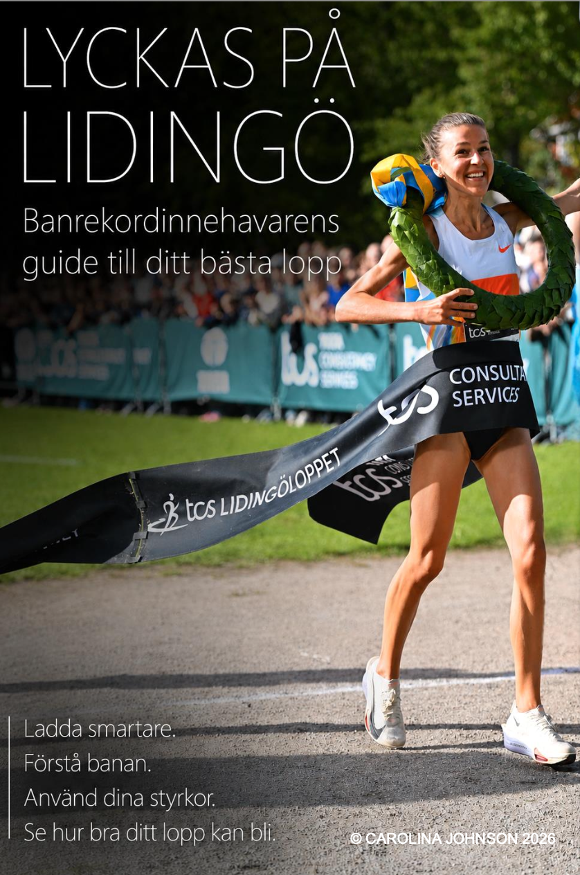 Omslaget till guiden Lyckas på Lidingö av Carolina Johnson